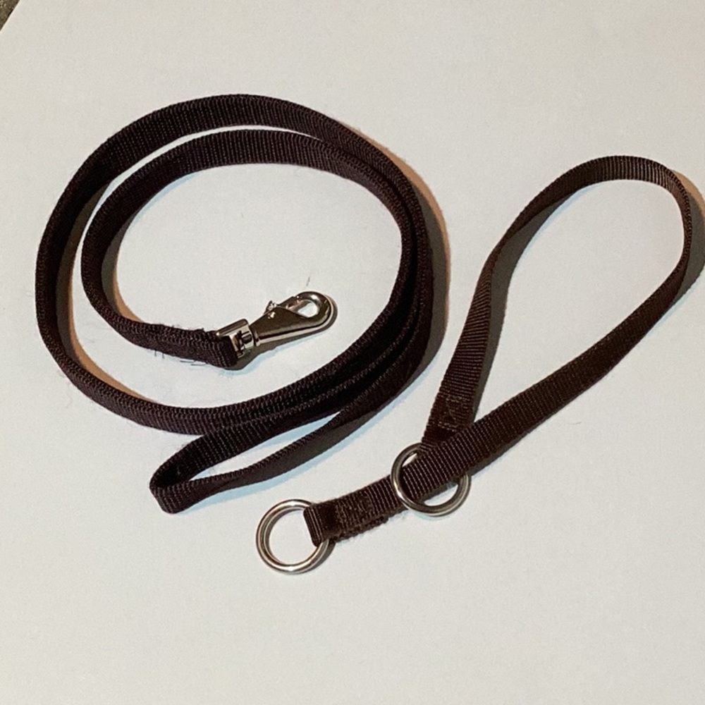 Slip collar & leash, sturdy nylon, brown color, 1” wide, metal hardware